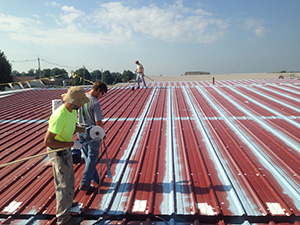 Roof Coatings1