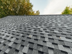 Asphalt Roofing - Sparta WI - 1