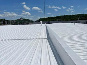 metal-roofing-systems-Sparta-WI-Wisconsin-1