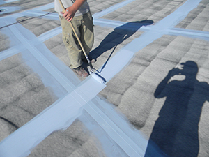 Roof Coatings1