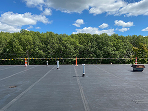 Roofing Systems